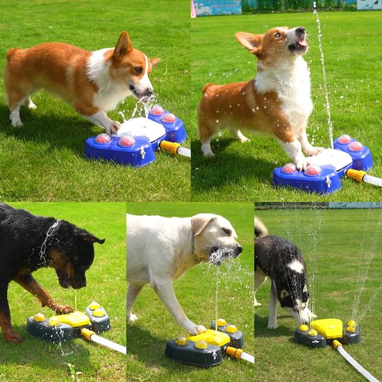 427 : Automatic dog water fountain