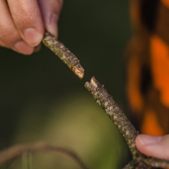 058 : Grafting pruner tool for vineyards, trees & bushes