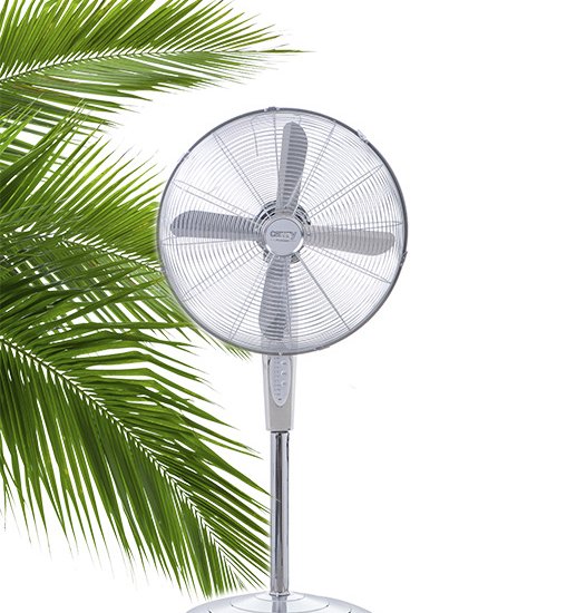 request-product-photo