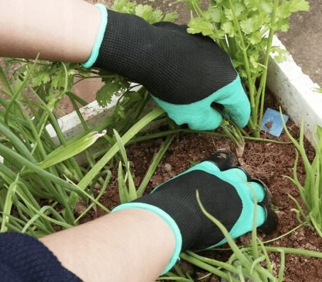 201 : Claw garden gloves