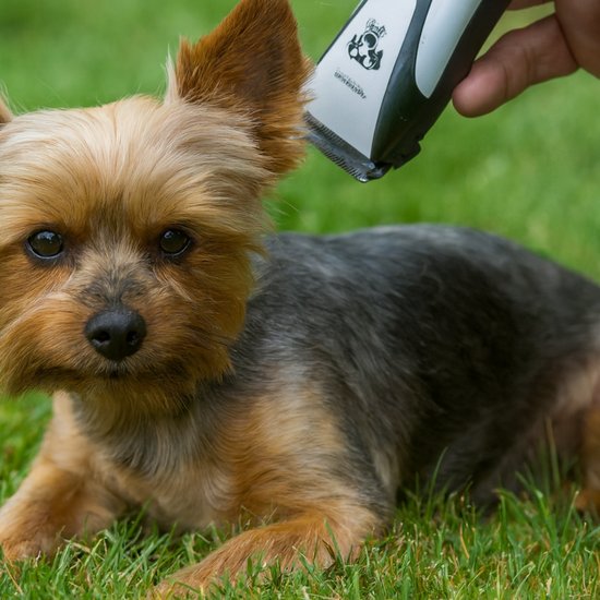 Elektryczna Maszynka do Strzyżenia Zwierząt SM-600A