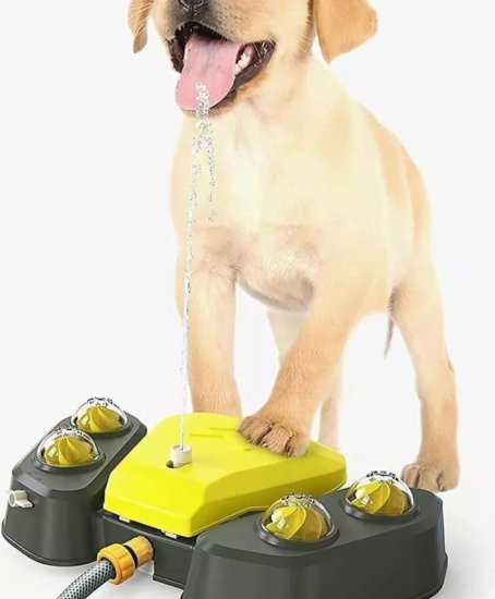 427 : Automatic dog water fountain
