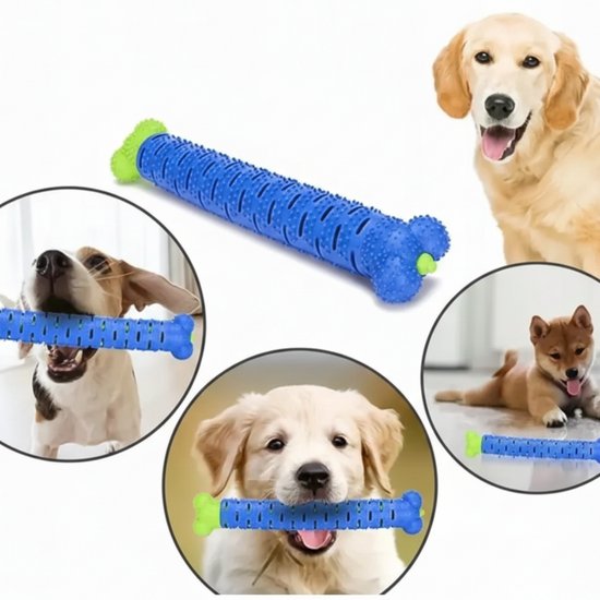 3016 : Dental chew toy for dogs