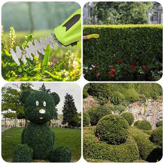 541 : ADM 2-in-1 Cordless Hedge Trimmer & Grass Shears