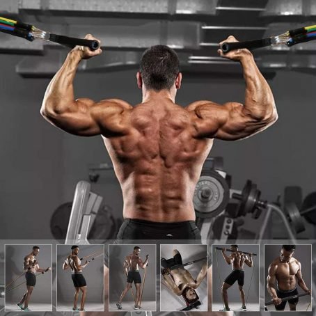 179 : Set of 5 resistance rubber for training exercises