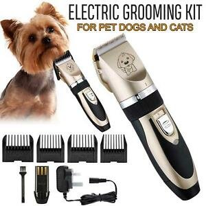 304 : 35W Grooming Kit for Dogs and Cats