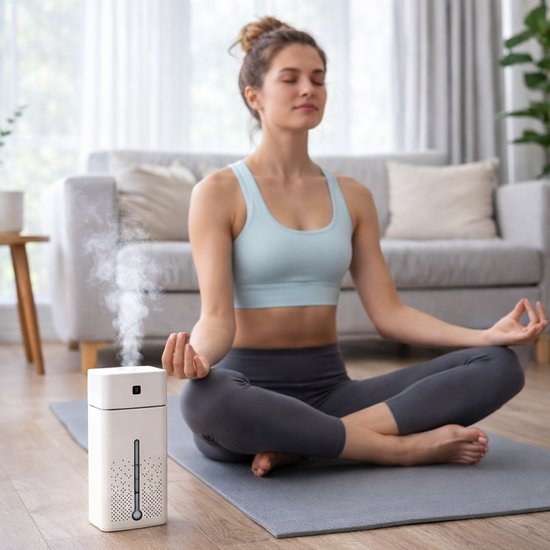 004 : Ultrasonic Big Air Humidifier 1L