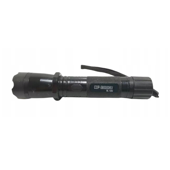 2110 : Defensive flashlight with stun gun 2-in-1