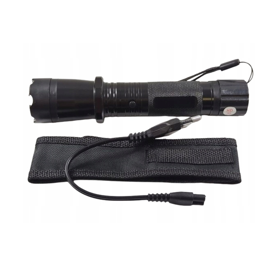 2110 : Defensive flashlight with stun gun 2-in-1
