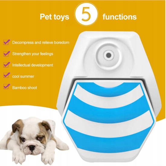 429 : Automatic dog water fountain